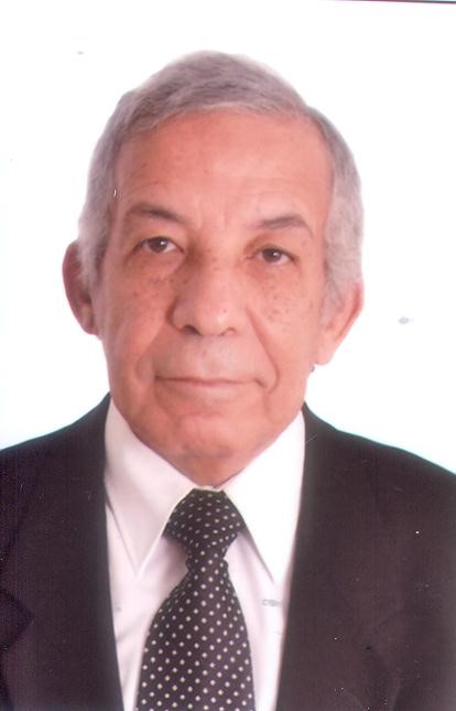 Hussein Elgebaly